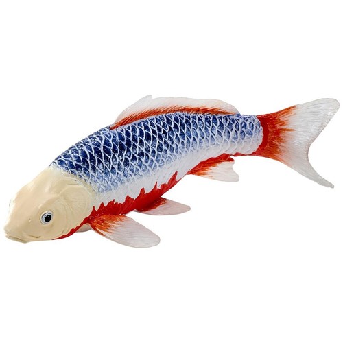 Mojo asagi koi carp - carp, fish