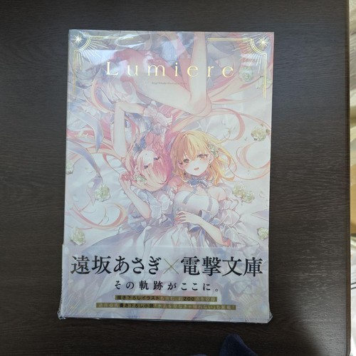 Libro arte lumiere asagi - libro, d'arte